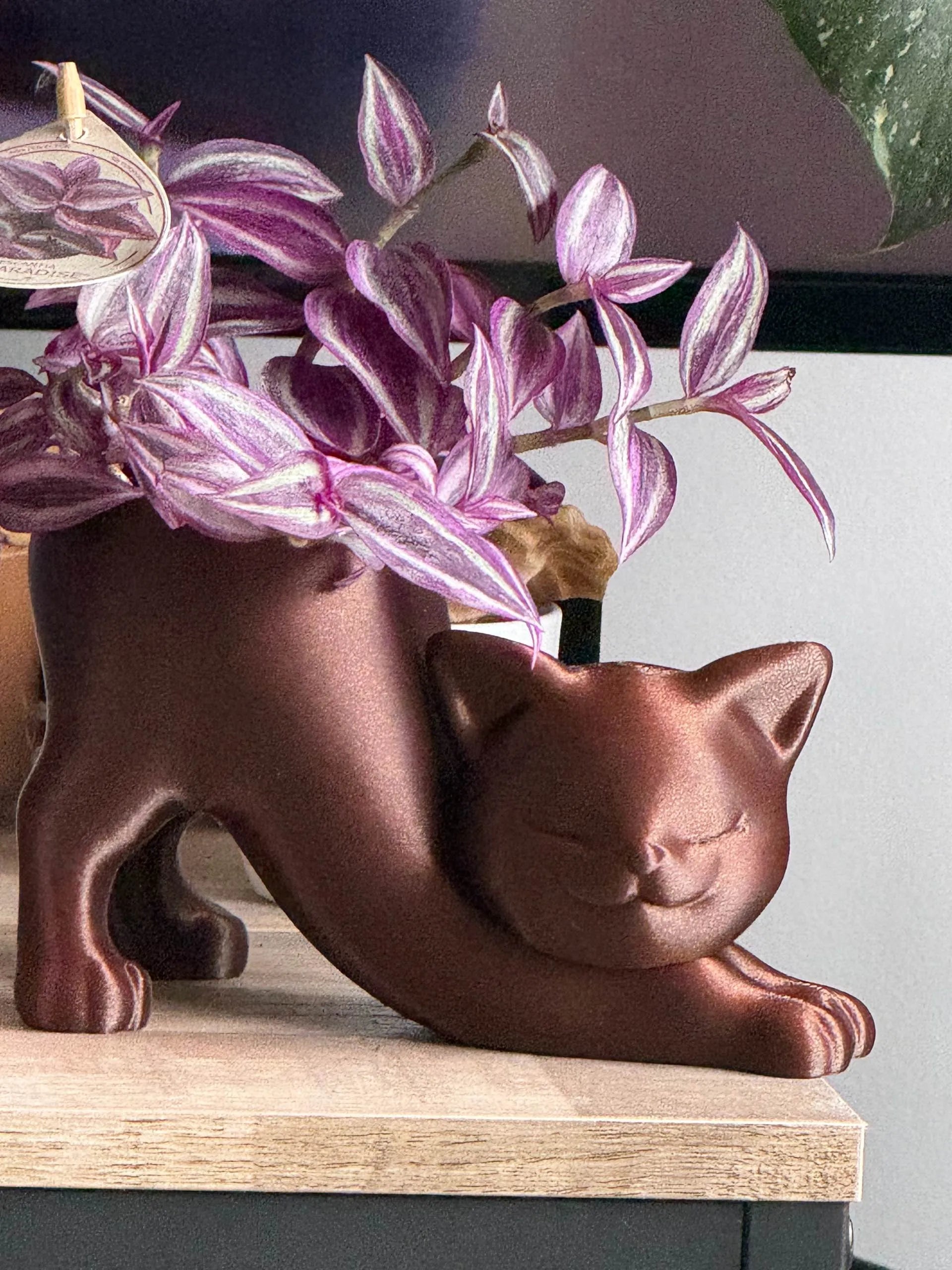 KATTE