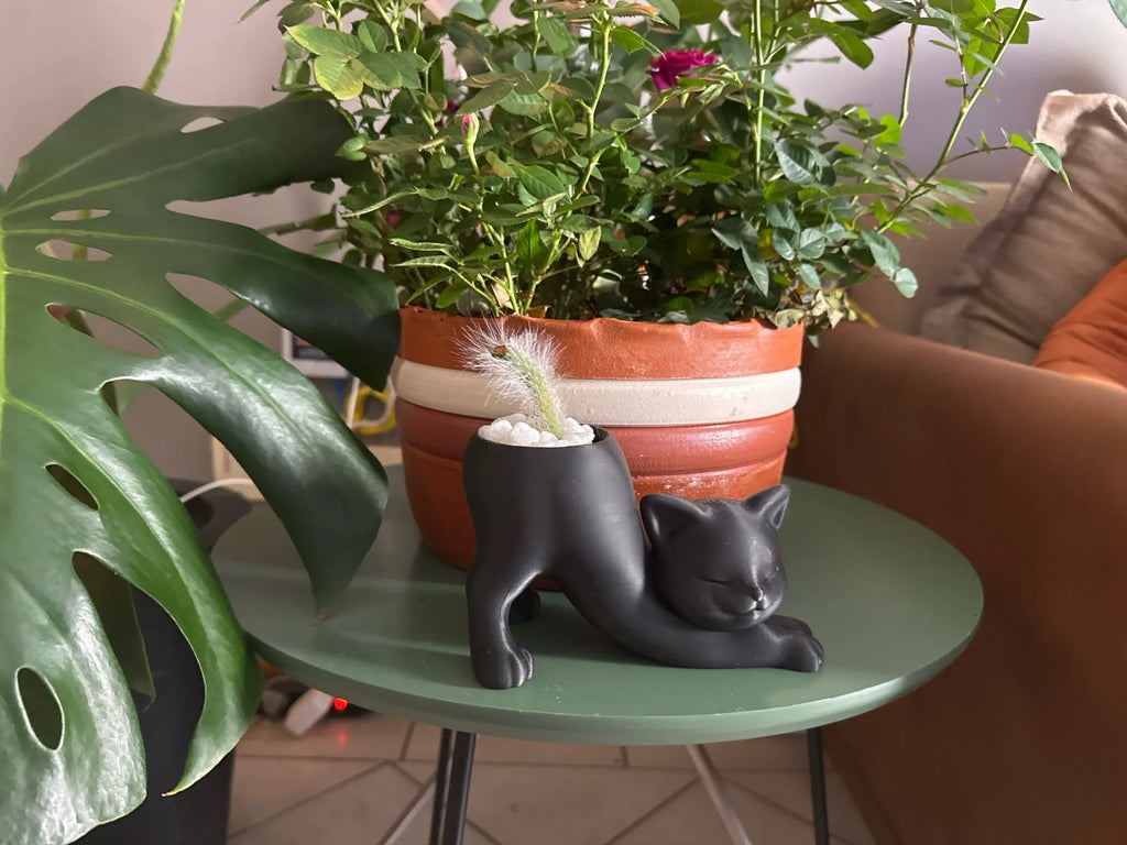 KATTE
